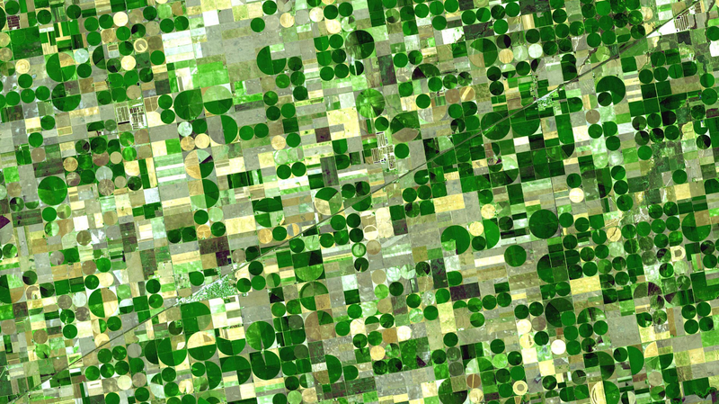Crops in Kansas as seen from space.